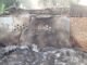 Farmer’s house caught fire: किसान के घर में लगी आग, लाखों का धान खाक, पांच मवेशियों की भी जलकर मौत
