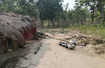 Elephants attack: हाथियों ने चरवाहे के दो बच्चों को कुचलकर मार डाला