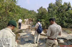Tracing the Tiger: कुदरगढ़ परिक्षेत्र में बाघ की ट्रेसिंग, विचरण क्षेत्र से दूर रहने लोगों से अपील