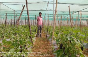 Award for Development: नारायणपुर जिले को विकास में नवाचार के लिए नीति आयोग से मिला 10 करोड़ का पुरस्कार