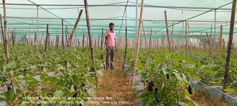 narayanpur-3-1536x691.jpg