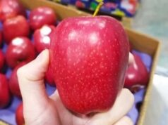Turkish apples boycott: तुर्की के सेब के ऑर्डर कैंसिल, देश के दुश्मनों का साथ देने वालों से व्यापार नहीं
