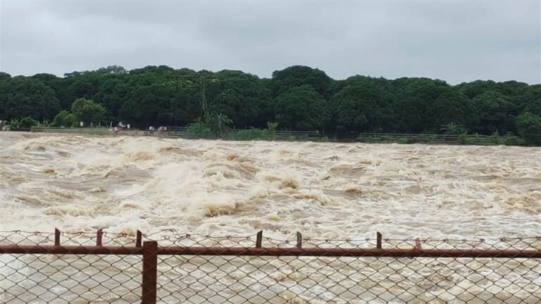 10_08_2022-shivnath_river_flood_news_2022810_133626.jpg
