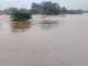 Heavy rain in North CG: उत्तर छत्तीसगढ़ में भारी बारिश , नदी-नाले उफान पर, वृद्ध झींक नदी में बहा