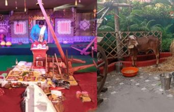 Hareli Tihar: छत्तीसगढ़ में हरेली तिहार का उत्साह, सीएम हाउस से लेकर गांव-गांव में धूम