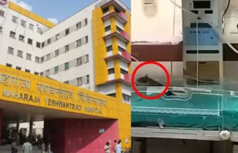 Medical negligence: महाराजा यशवंतराव अस्पताल में लापरवाही, चूहों ने दो नवजात शिशुओं के हाथ कुतरे