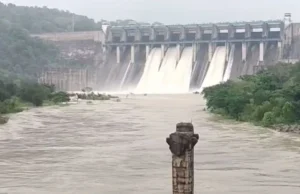 Flood in Chhattisgarh: कोरबा में मिनीमाता बांगो बांध के 8 गेट खोले गए, 32 गांवों में मुनादी
