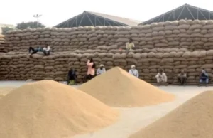 DHAN KHARIDI : धान खरीदी में बड़ा बदलाव, तस्करी रोकने बनेगी स्पेशल टीम, एग्रीस्टेक-किसान पोर्टल पर होगा पंजीकरण