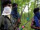 CG naxal violence : मुखबिरी के शक में नक्सलियों ने की मामा-भांजे की हत्या, एक CRPF जवान का भाई