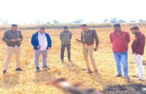 Blind murder mystery: भाई ने बहन के प्रेमी की हत्या कर पहचान छिपाने खेत में ले जाकर लाश जलाई