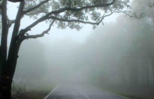 CG Weather : छत्तीसगढ़ में ठिठुराने वाली सर्दी,, नवा रायपुर में रात-दिन के तापमान में 20 डिग्री का अंतर, कई जिलों में शीतलहर का अलर्ट