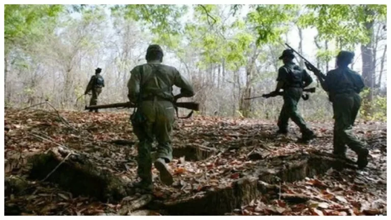 1733159-naxal.webp