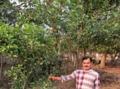 Roadside greenery: 10 साल की तपस्या और सड़क किनारे खड़ी कर दी हरियाली