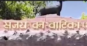 Ambikapur news: संजय वन वाटिका में 15 हिरणों की मौत, प्रभारी और तीन सहायक निलंबित