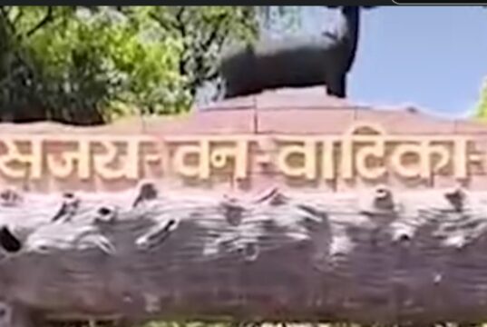 Ambikapur news: संजय वन वाटिका में 15 हिरणों की मौत, प्रभारी और तीन सहायक निलंबित