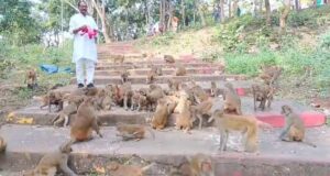 Companion of the Voiceless : बेजुबानों का सच्चा साथी, कुदरगढ़ में इस आरक्षक ने अपनी सेवा से जीता दिल