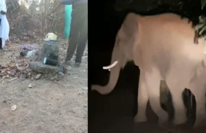 CG News : धान उपार्जन केंद्र में घुसा हाथी, मंडी प्रभारी को कुचला, पत्नी ने भागकर बचाई जान