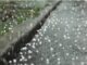 North India Weather : अप्रैल में फरवरी वाली ठंड: उत्तर भारत में 15 डिग्री तक गिरा पारा
