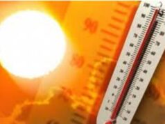 CG Weather : छत्तीसगढ़ में हीटवेव का अलर्ट, रायपुर, बिलासपुर में 43°C के पार पहुंचा पारा