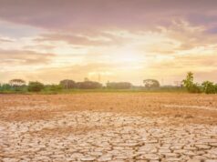 El Niño Alert : दुनिया का सबसे खतरनाक अल-नीनो 140 साल बाद फिर ले रहा आकार, भारत में सूखे और भीषण गर्मी का अलर्ट