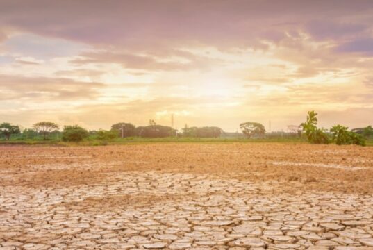 El Niño Alert : दुनिया का सबसे खतरनाक अल-नीनो 140 साल बाद फिर ले रहा आकार, भारत में सूखे और भीषण गर्मी का अलर्ट