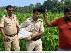 Corruption Case: TMC नेता के खेत से मिला 4 ट्रॉली बैग में 2.24 करोड़ कैश, ममता सरकार की कट मनी का अंदेशा
