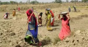 CG News: विकसित भारत ग्रामीण रोजगार आजीविका गारंटी (वीबी जीरामजी) 1 जुलाई से, छत्तीसगढ़ के लिए 3,354 करोड़ रुपए मंजूर