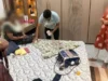 IPL Online Betting Busted : आईपीएल फाइनल मैच पर ऑनलाइन सट्टा, दो सटोरिये गिरफ्तार, 32 लाख रुपए नकद जब्त
