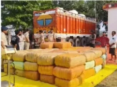 CG Crime: ट्रक में लाया जा रहा था तस्करी का गांजा, उत्तर प्रदेश की सीमा से लगे धनवार चेकपोस्ट पर पकड़ाया , दो आरोपी गिरफ्तार