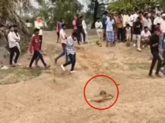 CG Crime : जन्मदिन की रात घर निकली युवती की तीन दिन बाद रेत में दफन मिली लाश, दुष्कर्म के बाद हत्या की आशंका