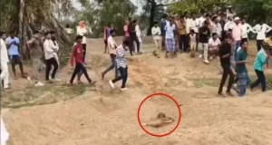 CG Crime : जन्मदिन की रात घर निकली युवती की तीन दिन बाद रेत में दफन मिली लाश, दुष्कर्म के बाद हत्या की आशंका
