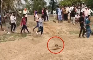 CG Crime : जन्मदिन की रात घर निकली युवती की तीन दिन बाद रेत में दफन मिली लाश, दुष्कर्म के बाद हत्या की आशंका