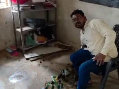 CG News : सरकारी स्कूल में शिक्षक का शराब पीते वीडियो वायरल, डीईओ ने दिए जांच के आदेश