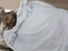 CG Crime: जमीन विवाद में युवक का अपहरण, बेदम पिटाई कर सड़क किनारे फेंका, इलाज के दौरान मौत