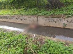 Bilaspur crime : रेलवे परिक्षेत्र के नाले में मिली महिला की अर्द्धनग्न लाश, पुलिस शिनाख्त की कोशिश में जुटी