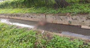 Bilaspur crime : रेलवे परिक्षेत्र के नाले में मिली महिला की अर्द्धनग्न लाश, पुलिस शिनाख्त की कोशिश में जुटी