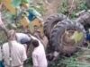 Tractor Accident : खेत जुताई के दौरान 7 फीट गहरे गड्ढे में पलटा ट्रैक्टर, चालक की दबने से मौत