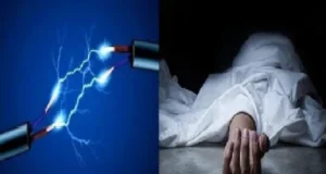 CG News : मवेशियों से फसल बचाने खेत में बिताया था करंट , चपेट में आकर पिता-पुत्र की मौत
