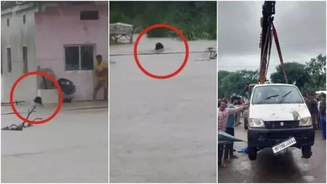 35244-10082026-rajgarhcarinwateraccident2026810135743m.webp