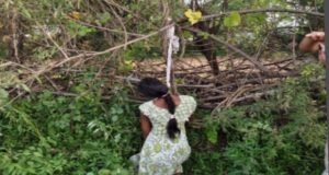 Given birth and hanged herself: बच्चे को जन्म देने के चार दिन बाद महिला ने लगाई फांसी, आत्महत्या की वजह साफ नहीं