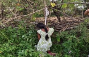 Given birth and hanged herself: बच्चे को जन्म देने के चार दिन बाद महिला ने लगाई फांसी, आत्महत्या की वजह साफ नहीं