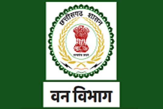 CG forest Promotion : वन विभाग में प्रमोशन, 18 रेंजर बने सहायक वन संरक्षक